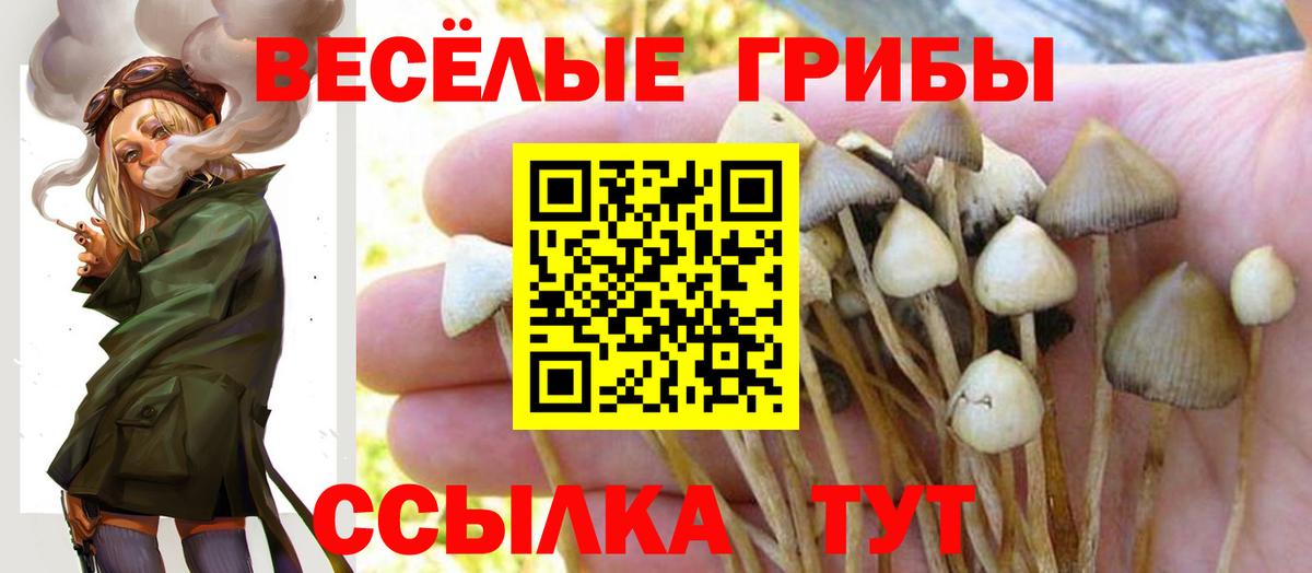 Псилоцибиновые грибы Magic Shrooms  Вход с VPN  Хабаровск  Галлюциногенные грибы Cubensis 